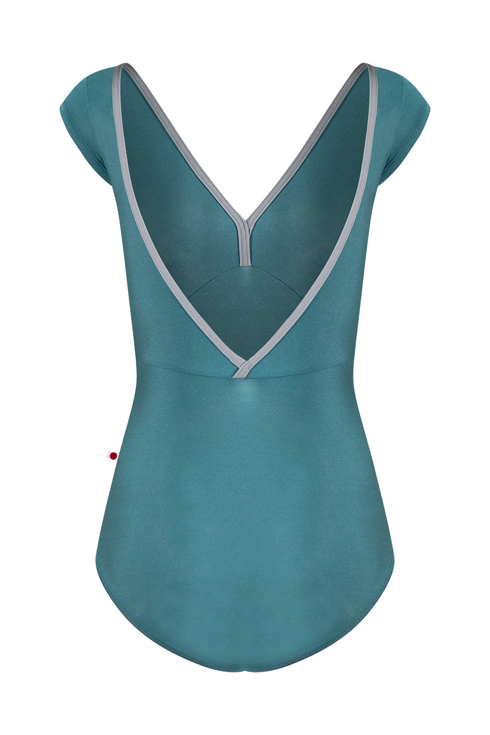 Yumiko Alicia Cap Sleeve Leotard in Frost