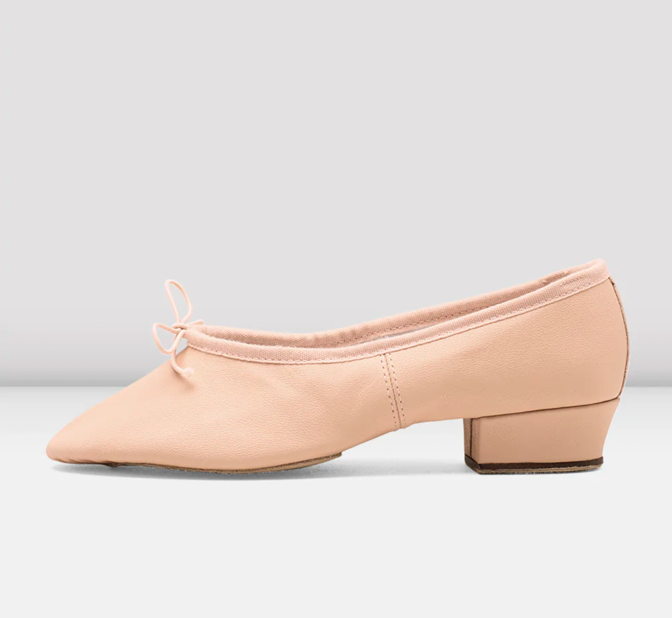 Paris Ballet Teaching Shoe